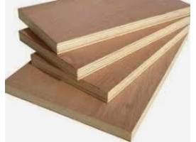 C.TY TNHH MTV SX – TM – DV – XD ĐẠT THÀNH