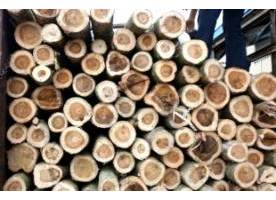 C.TY TNHH MTV SX – TM – DV – XD ĐẠT THÀNH